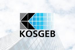 KOSGEB Teşvik Danışmanlığı